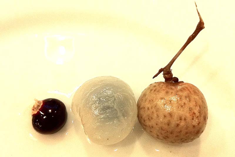 El ojo de un dragón en China Parte 2 de 3 Descubra Nikkei